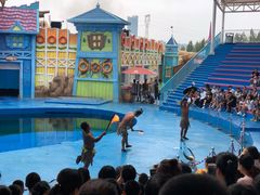 -华夏文旅海洋公园