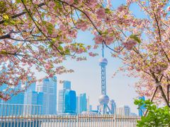 -北外滩滨江绿地