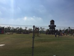 -上海长兴岛郊野公园