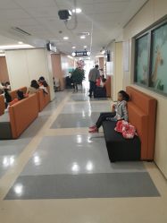 -上海交通大学医学院附属上海儿童医学中心(陆家嘴总院区)