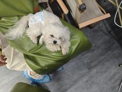 -汪说·狗咖(旺城大厦店)