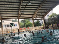 -小海豚国际游泳培训(长宁龙之梦酒店)