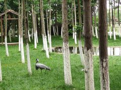 -艾溪湖湿地公园