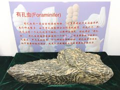 -中国第四纪冰川遗迹陈列馆