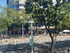 -澳门西南饭店·粤菜·茶市·手工点心(华海路店)