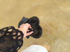 -碧海金沙