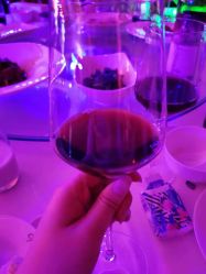 -成都世外桃源酒店-宴会厅·草坪婚礼·会议活动