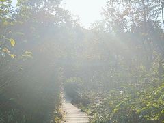 -广州市帽峰山景区