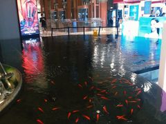 -新世界大丸百货