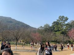 -西湖风景区十里琅珰-五云山
