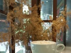 -sugarman espresso素饮糖人高新咖啡工厂