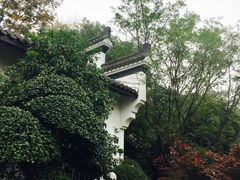 -赭山公园