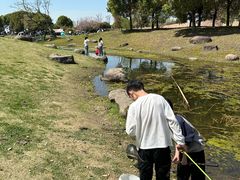 -滆湖低碳生态公园