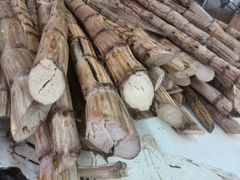 android_upload_pic-公利真料竹蔗水(中环店)