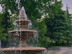 -洛阳郁金香牡丹园