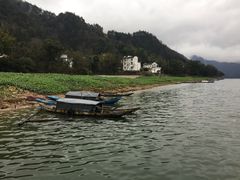 -新安江山水画廊风景区