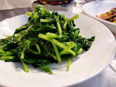 清炒豌豆尖-泓0871臻选云南菜·味庄