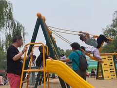 -大兴滨河森林公园