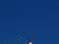 -太平洋咖啡(海滨泳场店)