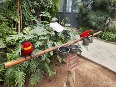 -南宫五洲植物乐园