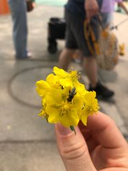 -酷酷兔少儿拓展天地