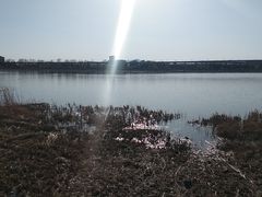 -绿堤公园
