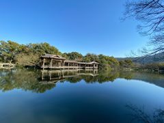 -西湖外事游船(花港观鱼码头)