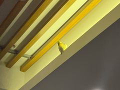 -潇湘·永州会馆(百子湾店)