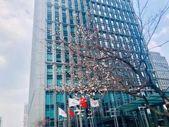 -陆家嘴世纪金融广场