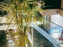 -云里小坐·小院里·团建·宴请·下午茶(三圣乡店)