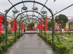 -都江堰玫瑰花溪谷