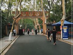 -灵谷景区