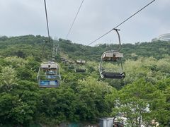 -富斯特索道