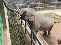 -贵州森林野生动物园