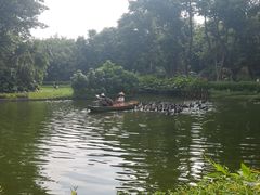 -广州长隆飞鸟乐园