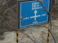 -阳台山自然风景区