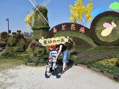 -荷兰花海