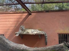 -青藏高原野生动物园
