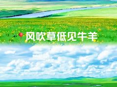 -呼伦贝尔大草原