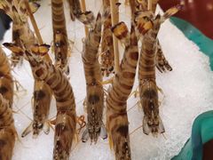 -海通1号(梅峰店)