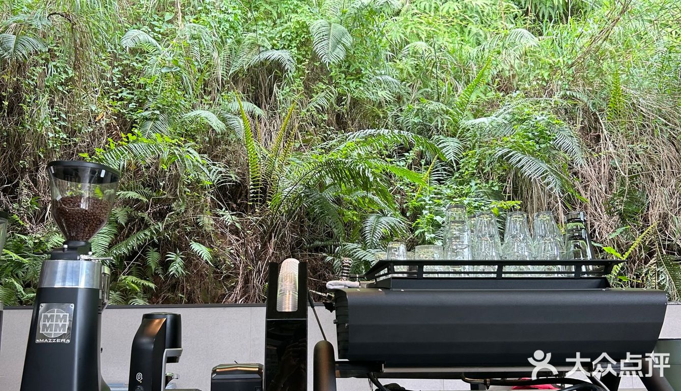 杯中藏着的小绿精灵