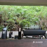 杯中藏着的小绿精灵