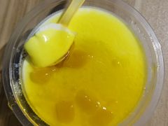 -雪露酸奶