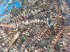 -清水湾3号(东方小周海鲜店)