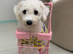 -怪兽屋·羊驼·猫咖·狗咖(俊华广场店)