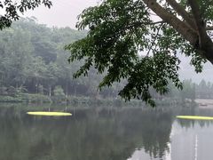 -重庆彩云湖湿地公园
