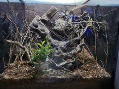 -上海海洋水族馆