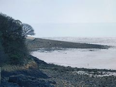 -平湖九龙山旅游度假区