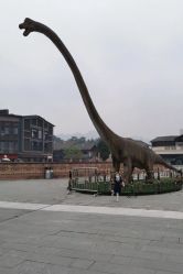 -恐龙探索乐园(磁器口店)