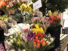 -豆豆花艺(新光天地店)